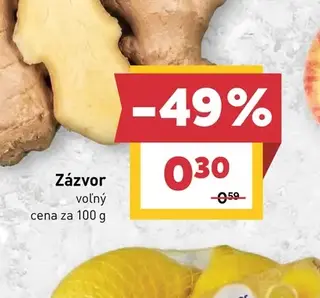 Zázvor