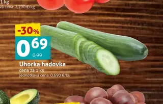 Uhorka hadovka