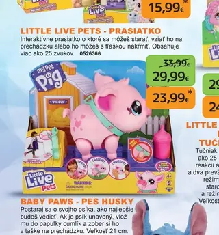 Little Live Pets - Prasiatko