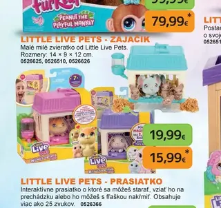 Little Live Pets - Zajačik