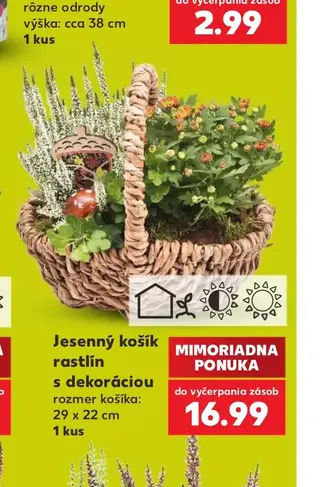 Jesenný košík rastlín s dekoráciou