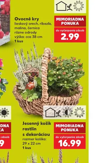 Ovocné kry