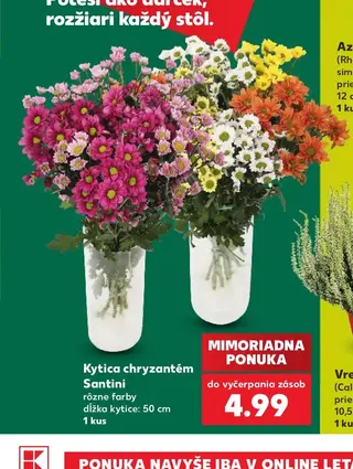 Kytica chryzantém Santini