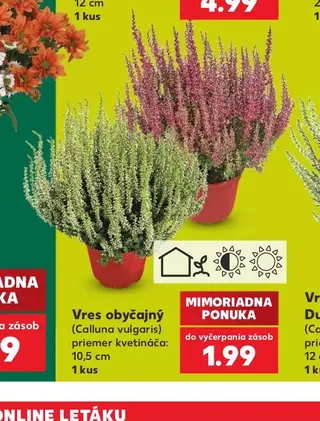 Vres obyčajný
