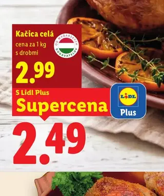 Kačica celá