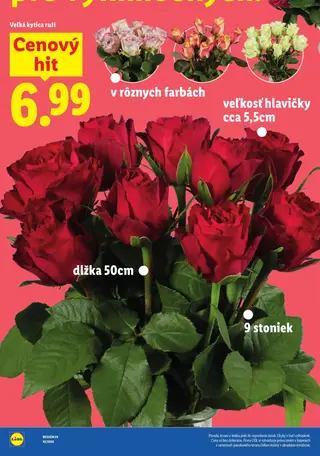 Veľká kytica ruží 9 stoniek