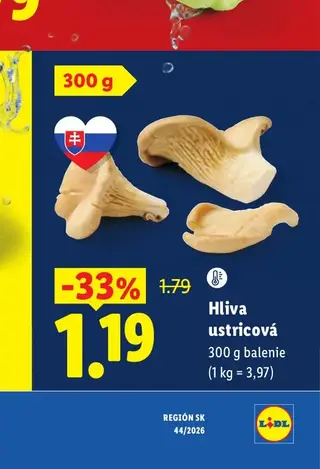 Hliva ustricová 300 g