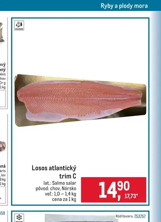 Losos atlantický trim C