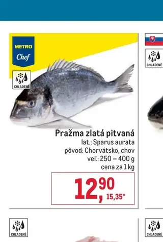 Pražma zlatá pitvaná