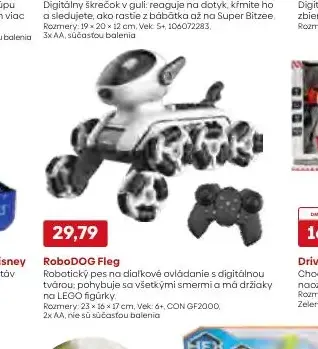 RoboDOG Fleg