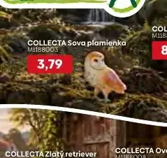 COLLECTA Sova plamienka