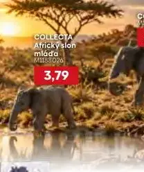 COLLECTA Africký slon mláďa