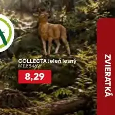 COLLECTA Jeleň lesný