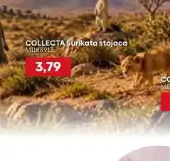 COLLECTA Surikata stojaca