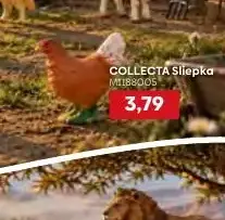 COLLECTA Sliepka