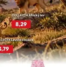COLLECTA Africký lev