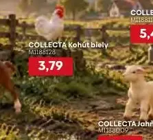 COLLECTA Kohút biely
