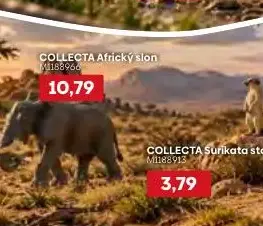COLLECTA Africký slon