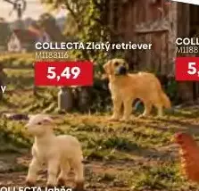 COLLECTA Zlatý retriever
