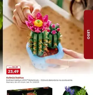 Kvitnúci kaktus LEGO Botanicals